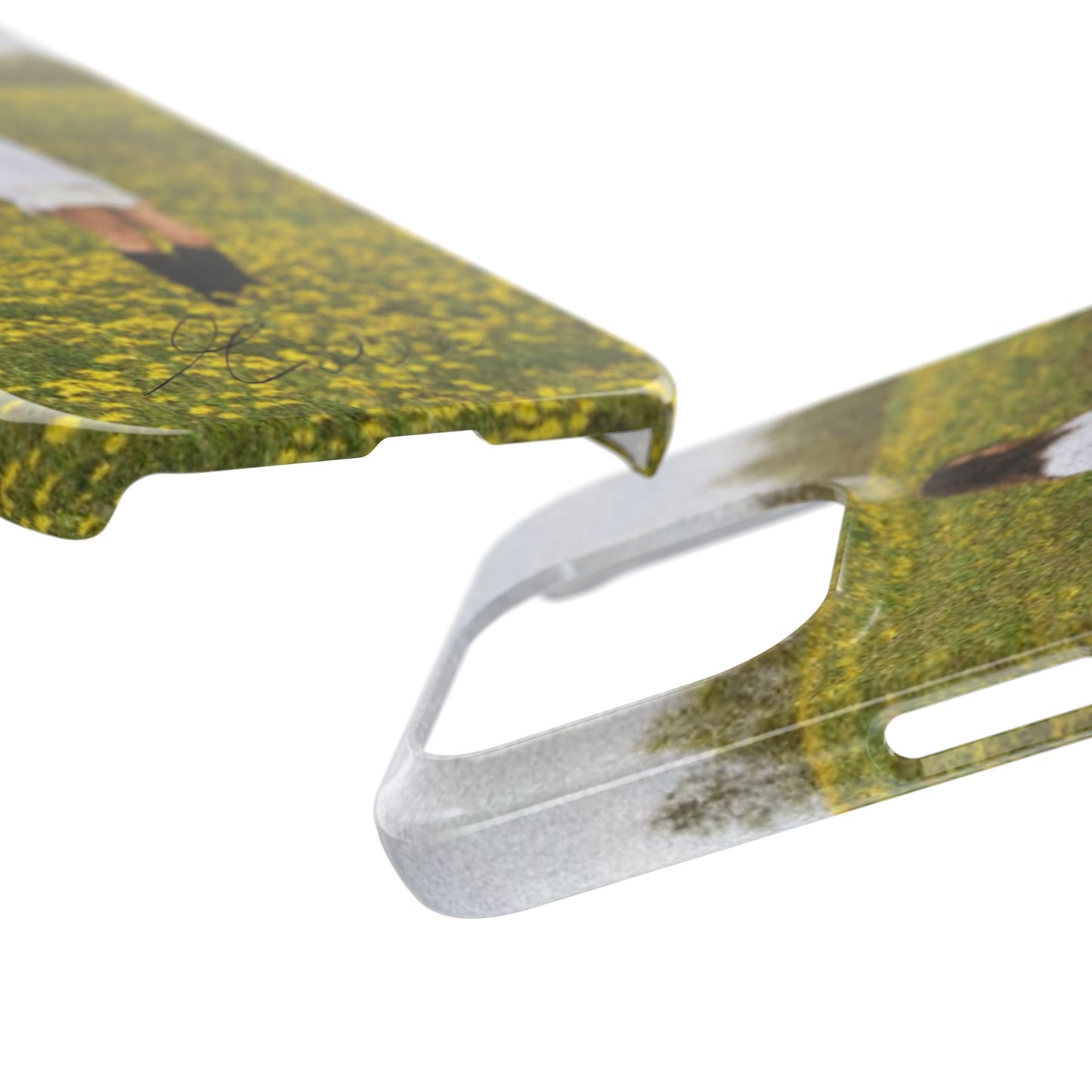 Cover art MOLLI x Olly